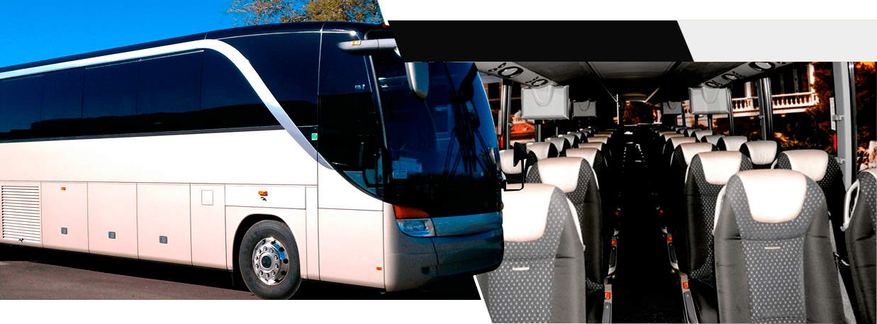 56 Passenger Coach Bus